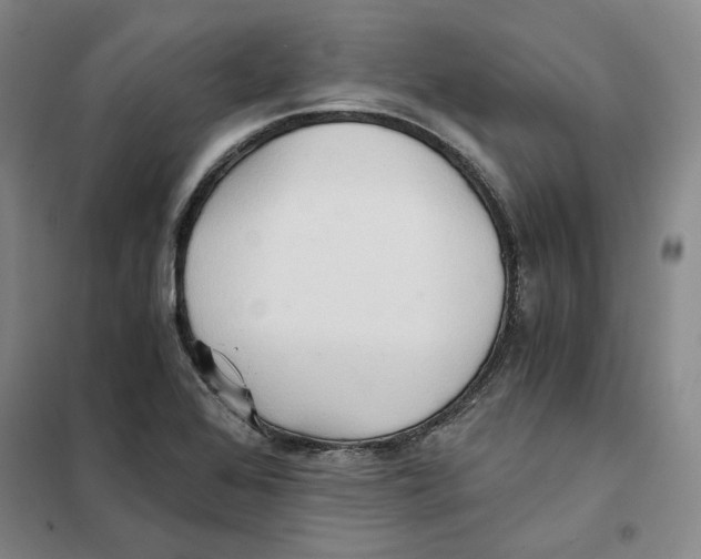X0000101121368200807241149