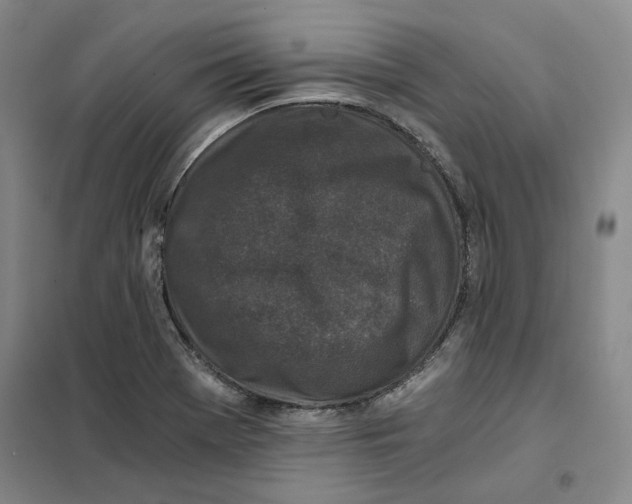 X0000101121369200807241149