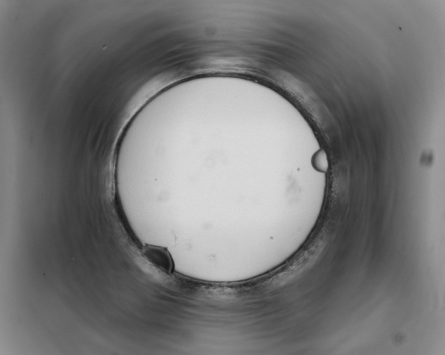 X0000101121370200807241149