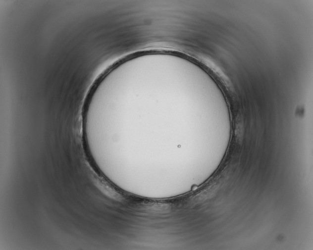 X0000101121372200807241149