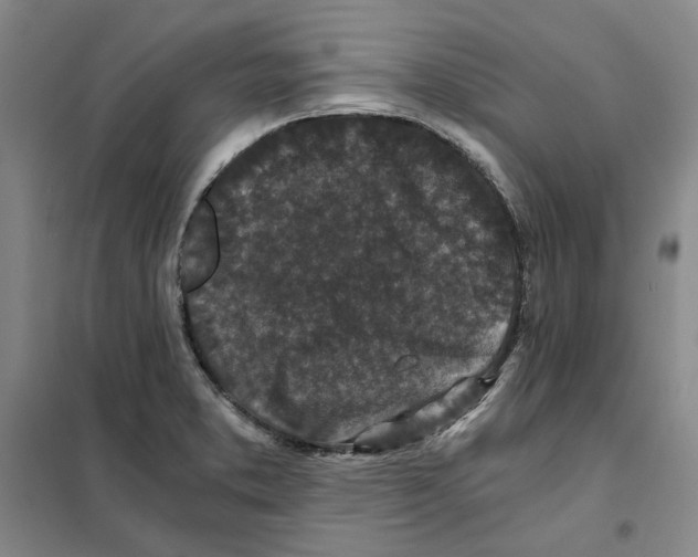 X0000101121373200807241149