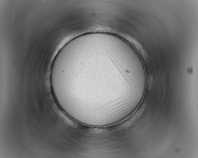 X0000101121374200807241149