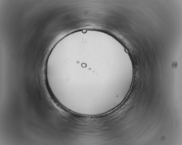 X0000101121375200807241149
