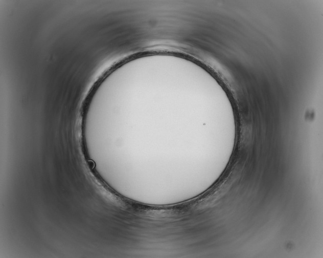 X0000101121376200807241149