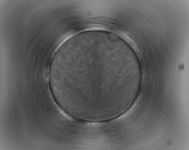 X0000101121377200807241149