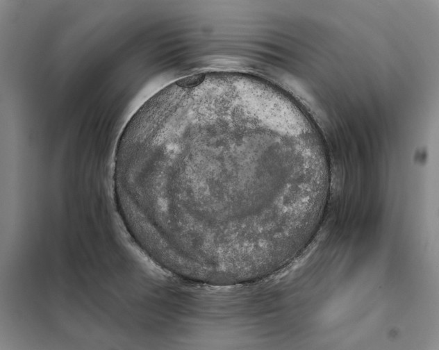 X0000101121378200807241149