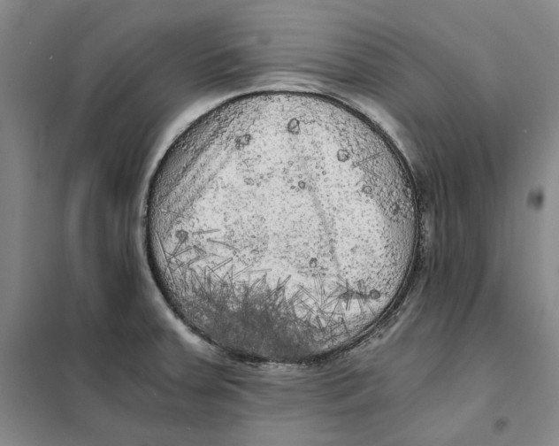 X0000101121379200807241149