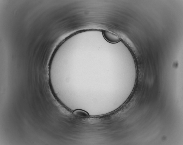 X0000101121380200807241149