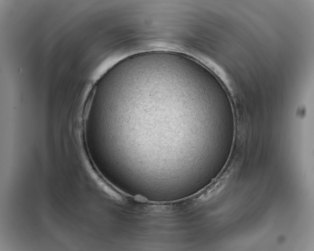 X0000101121381200807241149