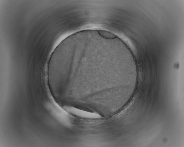 X0000101121382200807241149