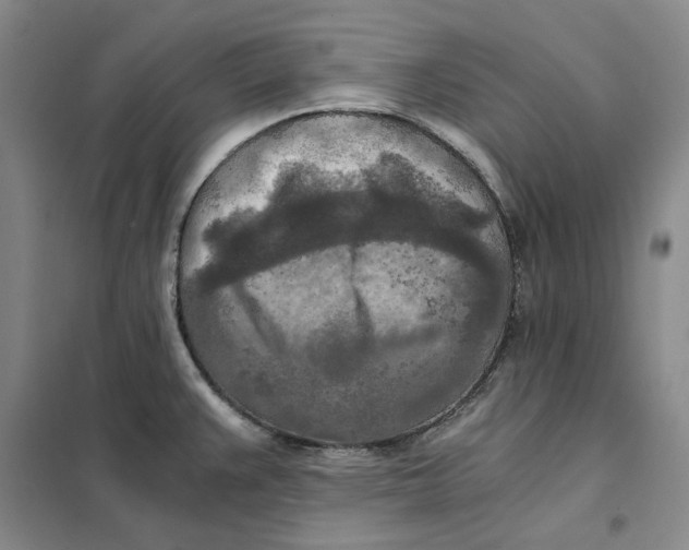 X0000101121383200807241149