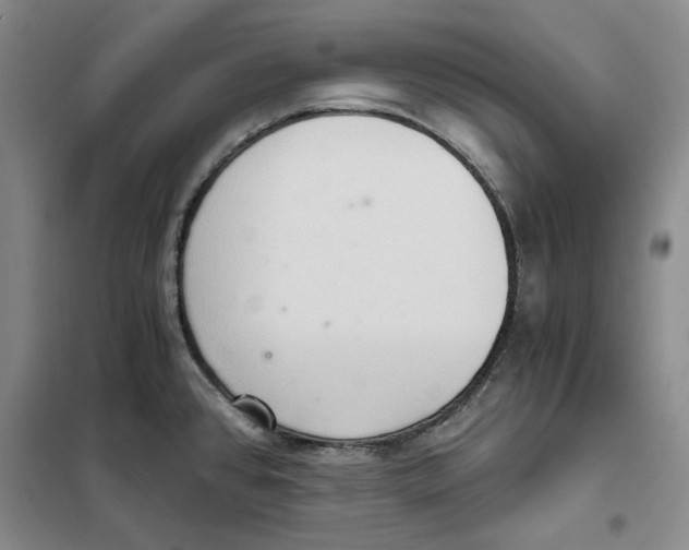 X0000101121384200807241149