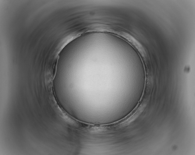 X0000101121385200807241149