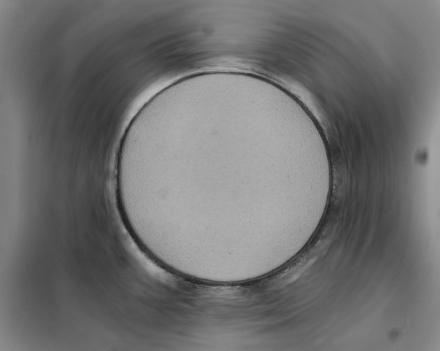 X0000101121387200807241149