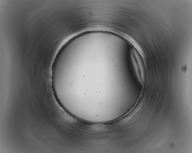 X0000101121388200807241149