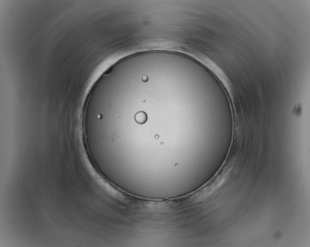 X0000101121389200807241149