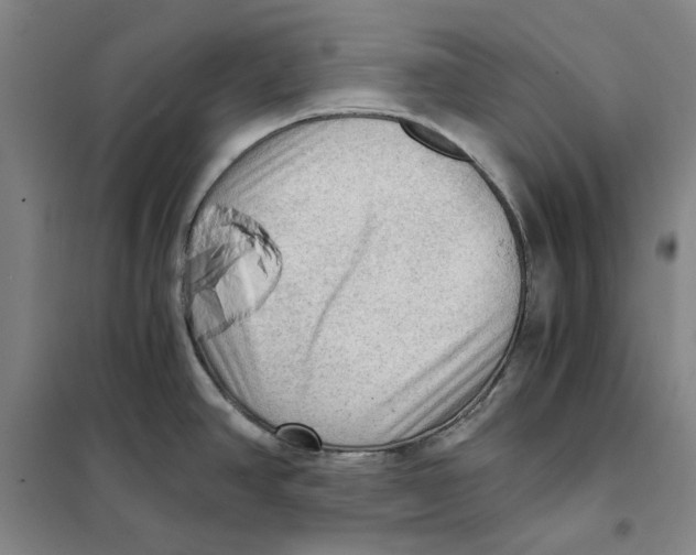 X0000101121390200807241149