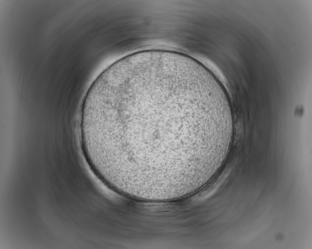 X0000101121391200807241149