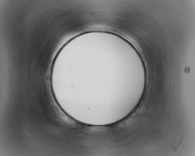 X0000101121392200807241149