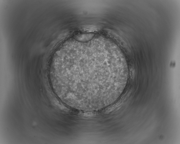 X0000101121393200807241148