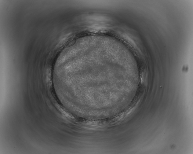 X0000101121396200807241148