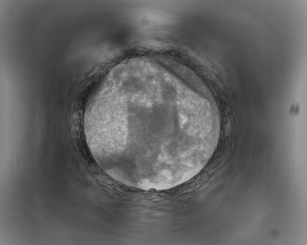 X0000101121397200807241148