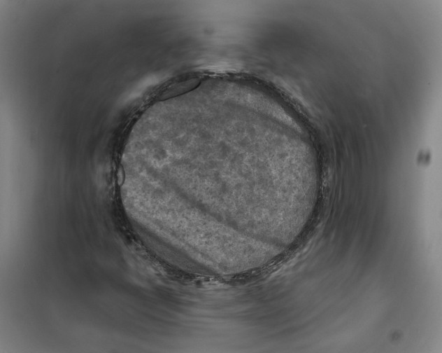 X0000101121398200807241148