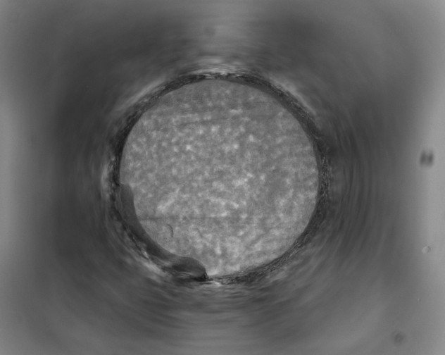 X0000101121399200807241148