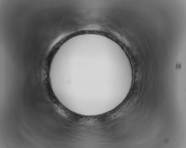 X0000101121400200807241148