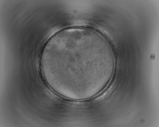 X0000101121401200807241148