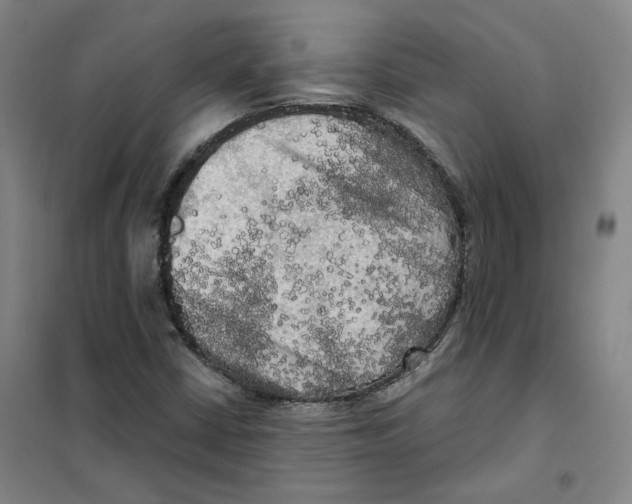 X0000101121402200807241148