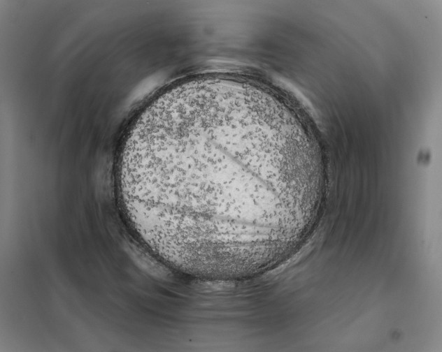 X0000101121403200807241148