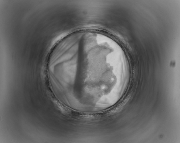 X0000101121405200807241148