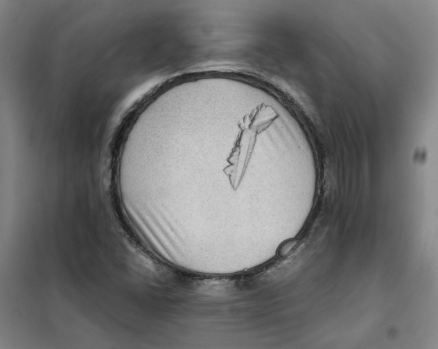 X0000101121406200807241148