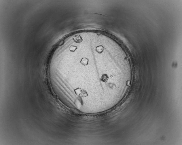 X0000101121407200807241148