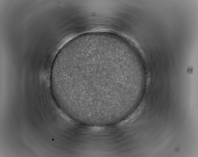X0000101121409200807241148