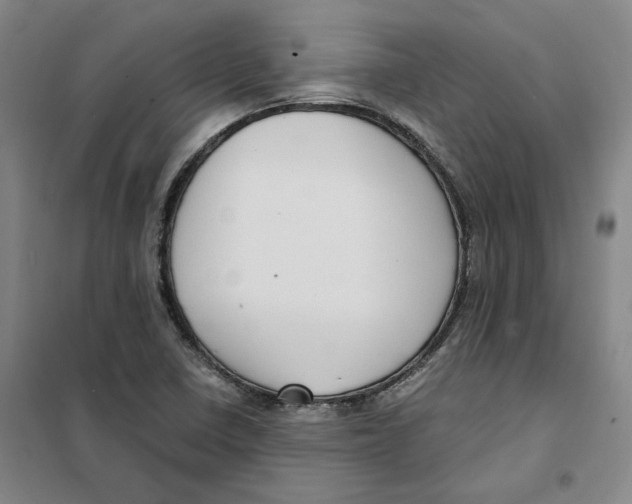 X0000101121410200807241148
