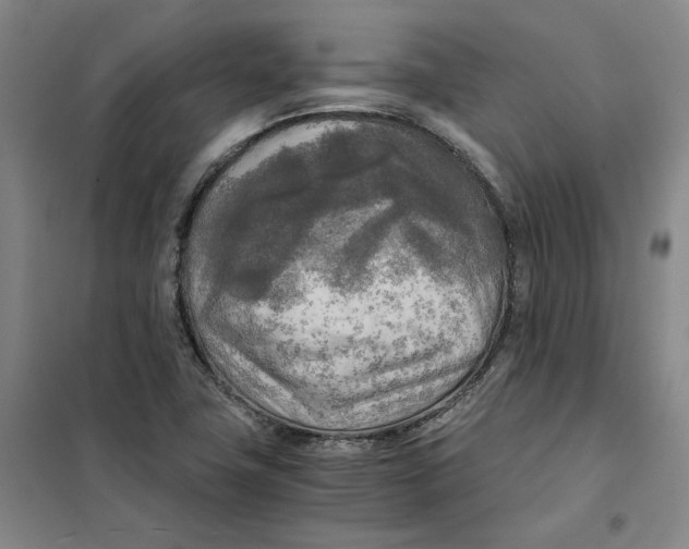 X0000101121411200807241148