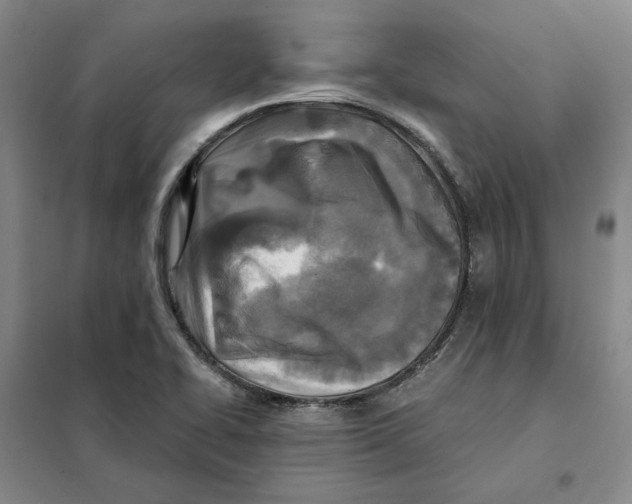 X0000101121414200807241148