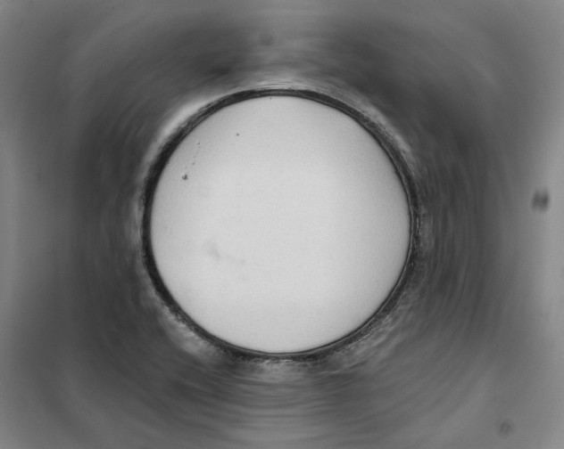 X0000101121416200807241148