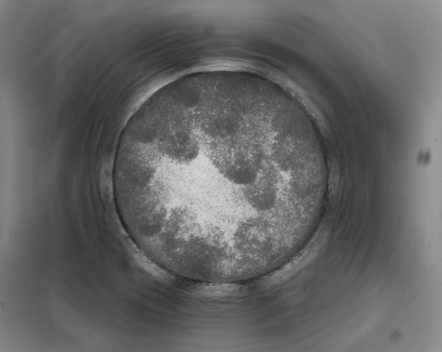 X0000101121417200807241148