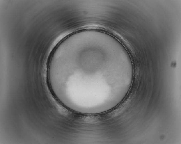 X0000101121418200807241148