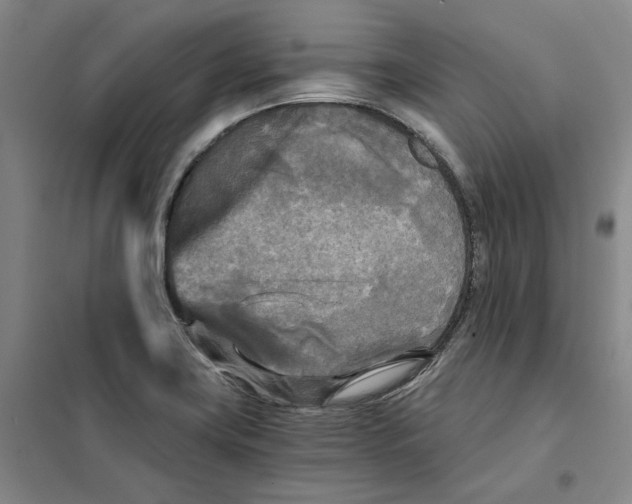 X0000101121419200807241148