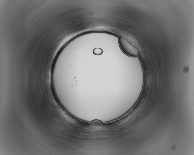 X0000101121420200807241148