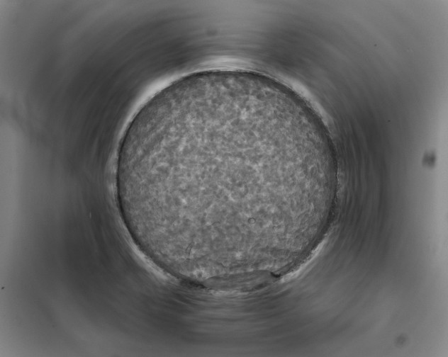 X0000101121421200807241148