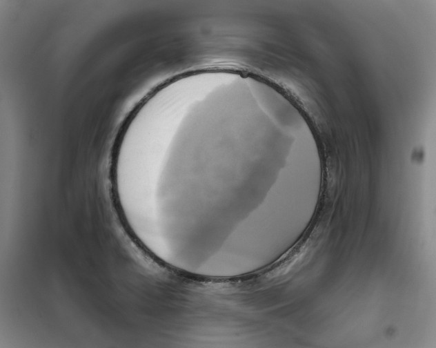 X0000101121422200807241148