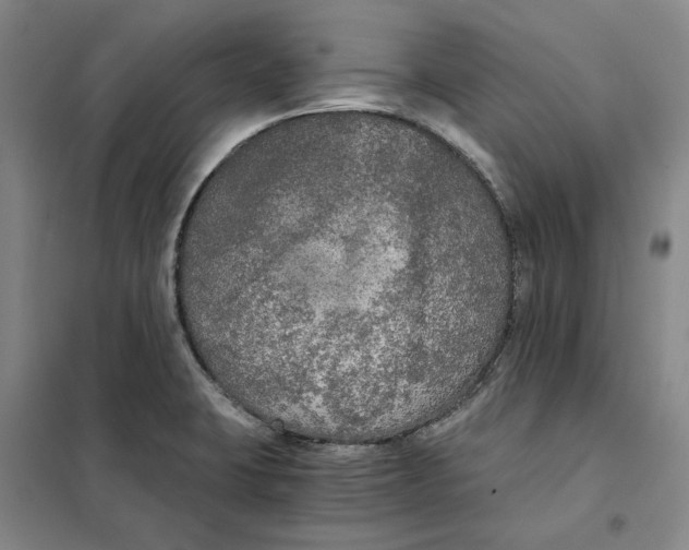 X0000101121423200807241148