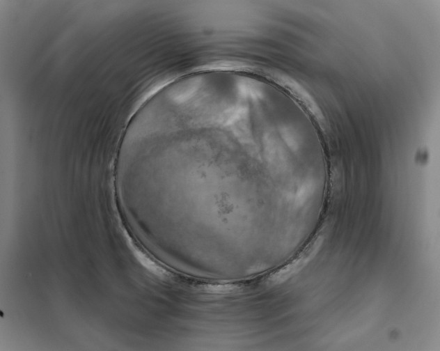 X0000101121425200807241148