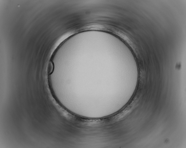 X0000101121426200807241148