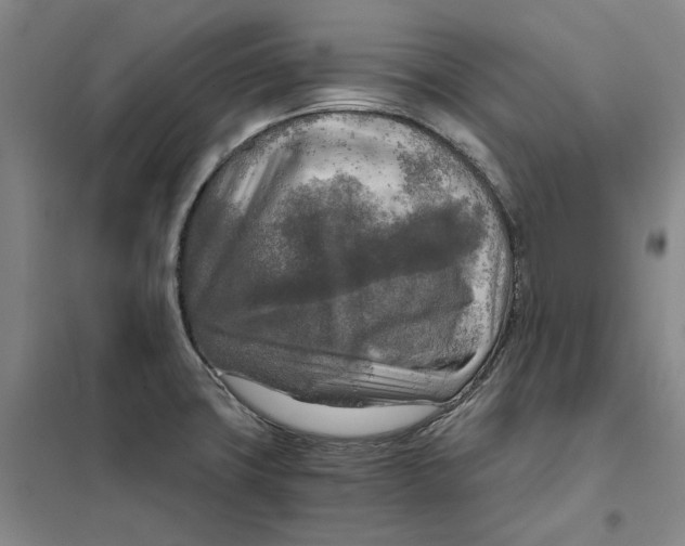 X0000101121427200807241148